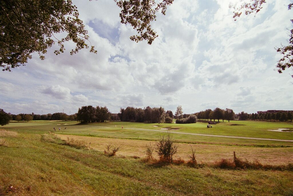 Uitzicht over een Nederlandse golfbaan met bunkers en bomen