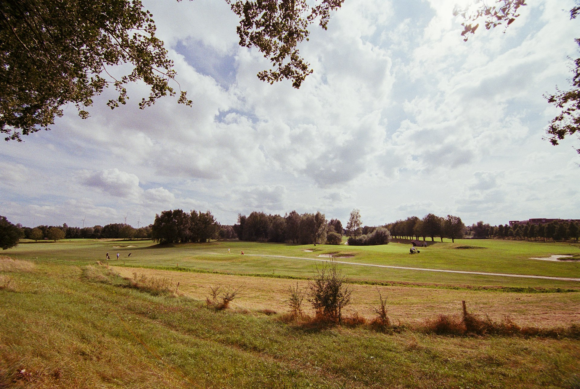 Uitzicht over een Nederlandse golfbaan met bunkers en bomen