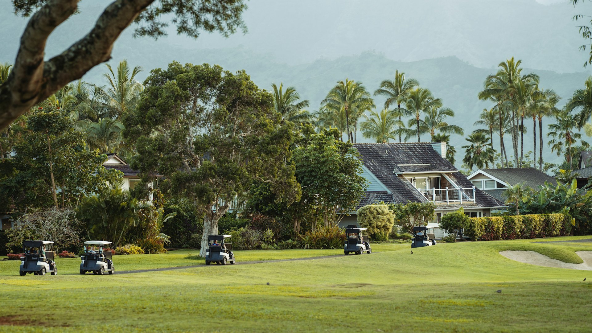 Luxe & Premium Golf